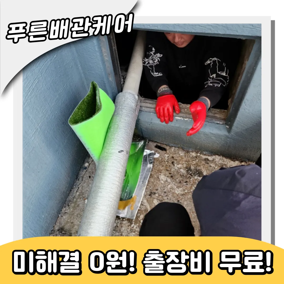 하수구역류